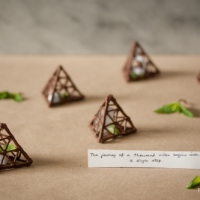 Chocolate Fortune Pyramids